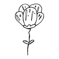 clipart di doodle di fiori semplici di vettore. illustrazione floreale disegnata a mano isolata su fondo bianco. per stampa, web, design, arredamento, logo. vettore