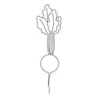 fumetto bianco e nero illustrazione vettoriale di ravanello per libro da colorare. verdura fresca matura da cucinare, fonte di vitamine