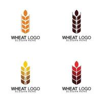 agricoltura frumento logo modello icona vettore design