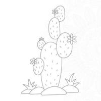 Disegni da colorare di cactus per bambini vettore