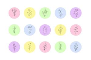 set di copertine di evidenziazione di storie floreali disegnate a mano per i social media. icone di copertina della storia di evidenziazione botanica di vettore
