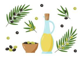 olive, olio d'oliva e rami con foglie e bacche. illustrazione vettoriale di un insieme di olive