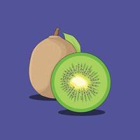 vettore di kiwi su sfondo colorato