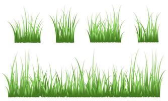erba verde, sfondo di erba vettore