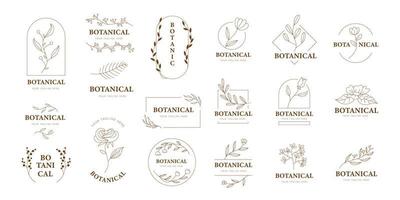 doodle erbe e fiori logo, set di botanici disegnati a mano, set floreale di fiori di campo ed erbe aromatiche, oggetti vettoriali isolati su sfondo bianco. set di fiori vettoriali di disegno a una linea.