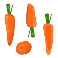 set di carote isolate su sfondo bianco. illustrazione vettoriale piatta