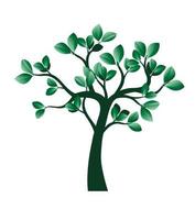 albero di primavera verde. illustrazione vettoriale. vettore