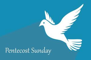 sfondo domenica di Pentecoste con colomba volante vettore