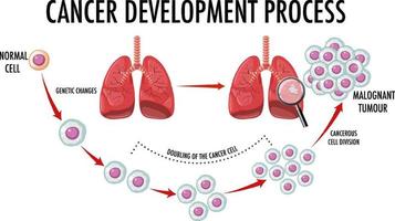 diagramma che mostra il processo di sviluppo del cancro vettore