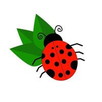 una coccinella su foglie verdi illustrazione vettoriale. vettore