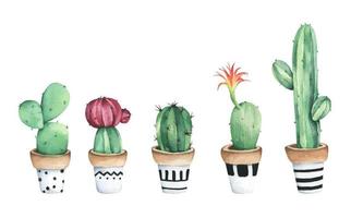 set di cactus in vaso. illustrazione ad acquerello. vettore