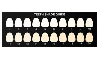 guida ai colori per lo sbiancamento dei denti, cartella colori dentale. vettore di illustrazione piatta