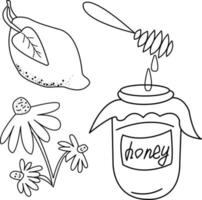 servizio da tè. illustrazione di doodle di vettore. limone con foglia, un fiore di echinacea, vasetto di miele e mestolo di miele. medicina alternativa vettore