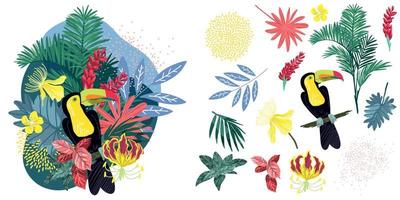composizione tropicale con tucano e foglie e fiori tropicali, arte vettoriale disegnata a mano