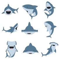 set di squalo bianco e squalo testa di martello
