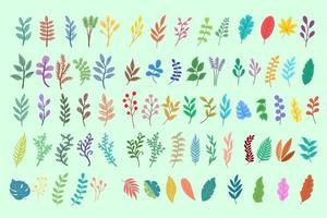set mega raccolta fascio di pacco di foglie piatte foglie elemento pianta tropicale botanico doodle clipart illustrazione vettore