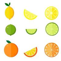 raccolta di prodotti di agrumi - arancia, limone, lime isolato su sfondo bianco. insieme di vettore di frutta intera e fette. illustrazione vettoriale