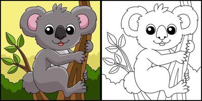 koala animale da colorare pagina illustrazione colorata vettore