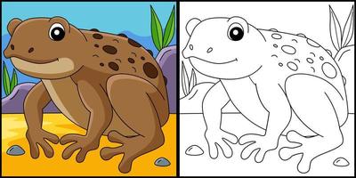 illustrazione della pagina di colorazione degli animali della rana del rospo della canna vettore