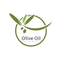 modello di logo di olio d'oliva vettore