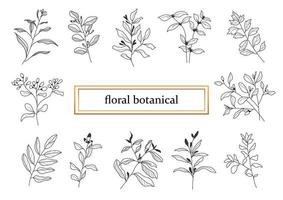 set botanico disegnato a mano foglie e fiori per la decorazione. vettore