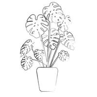 houseplant.poster.banner,etichetta disegnata a mano in bianco e nero. vettore isolato.