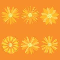 set di fiori d'arancio su sfondo arancione ideali per progetti e decorazioni vettore