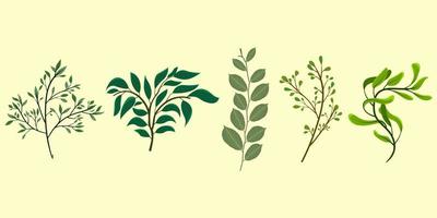 illustrazione vettoriale di una raccolta di vari tipi di bellissimi steli di alberi e foglie in varie forme.