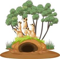 gruppo di suricati con tana in stile cartone animato vettore