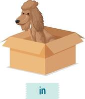 preposizione wordcard con cane in scatola vettore