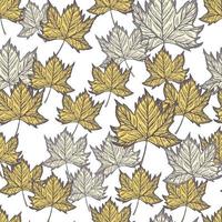 foglie acero inciso motivo senza cuciture. sfondo vintage botanico con fogliame canadese in stile disegnato a mano. vettore