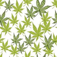 lascia il modello senza cuciture inciso di cannabis. sfondo retrò botanico con foglia di marijuana in stile disegnato a mano. vettore