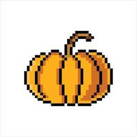 zucca con pixel art. illustrazione vettoriale isolato su sfondo bianco.