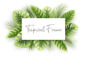 cornice naturale con foglie tropicali realistiche vettore