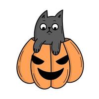 un simpatico gatto grigio si siede in una zucca per halloween. illustrazione in stile scarabocchio vettore