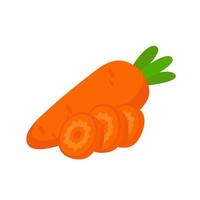 carote arancioni. un frutto ricco di vitamine. per una cucina sana vettore