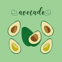 oggetti isolati di avocado. elementi disegnati a mano. vettore