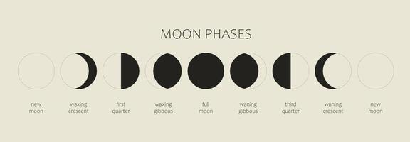 la luna, fasi lunari su sfondo nero. l'intero ciclo dalla luna nuova alla luna piena. illustrazione vettoriale di astronomia e calendario lunare