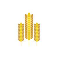 il logo dell'icona di grano e riso progetta l'immagine vettoriale