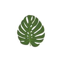 vettore del modello di progettazione dell'icona del logo della foglia di monstera