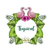 illustrazione floreale delle foglie tropicali della cartolina postale di vettore