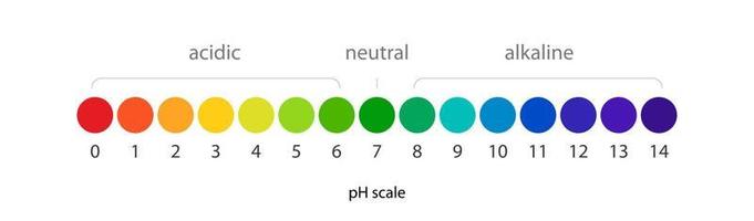 ph scala vettore infografica equilibrio acido-base