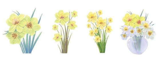 set di mazzi di fiori gialli di fiori di narciso illustrazione vettoriale