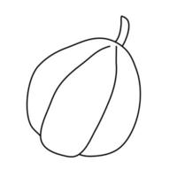 zucca a forma di pera in stile doodle. contorno isolato. illustrazione vettoriale disegnata a mano con inchiostro nero su sfondo bianco. ottimo per colorare i libri. tema del giardino agricolo.