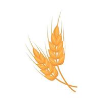 spiga di grano d'oro, chicchi per fare la farina, cuocere il pane e altri alimenti. illustrazione piatta vettoriale