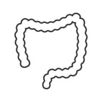 icona lineare dell'intestino crasso. illustrazione al tratto sottile. intestino crasso. tratto gastrointestinale. simbolo di contorno. disegno di contorno isolato vettoriale