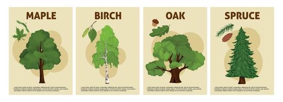 set di poster verticali per alberi vettore