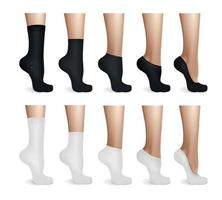 gambe femminili in calzini bianchi e neri vettore