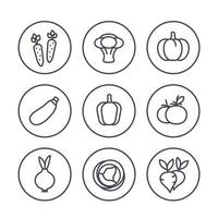 icone della linea di verdure in cerchi su bianco, illustrazione vettoriale