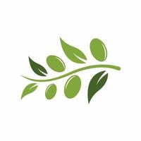 vettore icona logo olio d'oliva